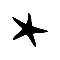 CP2 Starfish