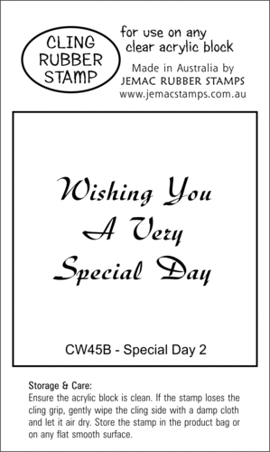 CW45B Special Day 2 - Cling Stamp