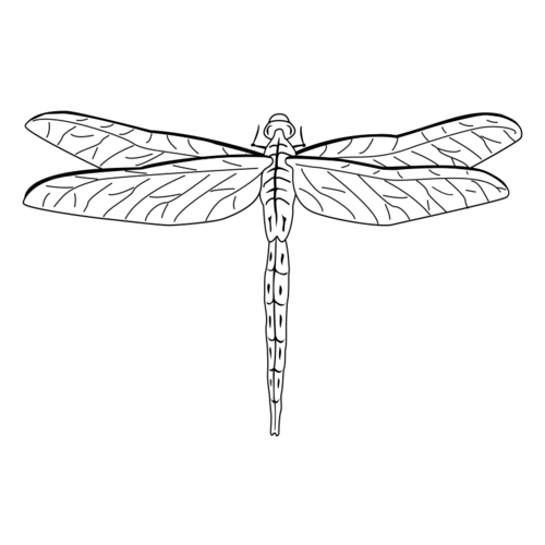 A57C Dragonfly 2 - Wood Mounted Stamp
