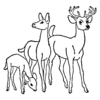 A77B Deer - Wood Mounted Stamp