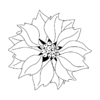 G66D Poinsettia Flower - Wood Mounted Stamp