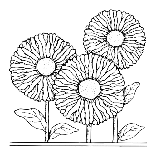 G66E English Daisies - Wood Mounted Stamp