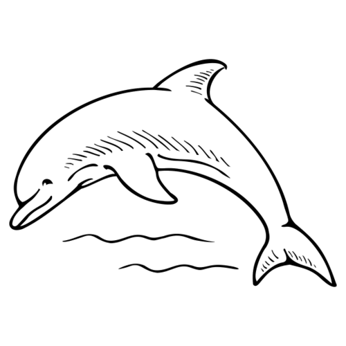 S45B Dolphin 3 - Wood Mounted Stamp