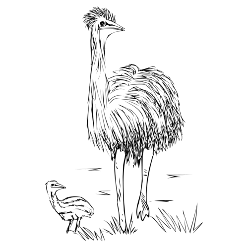 Z68A Emu Mum & Baby - Wood Mounted Stamp