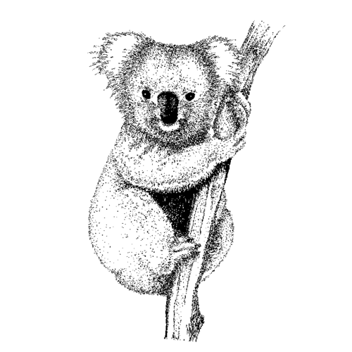 Z57A Koala - Wood Mounted Stamp