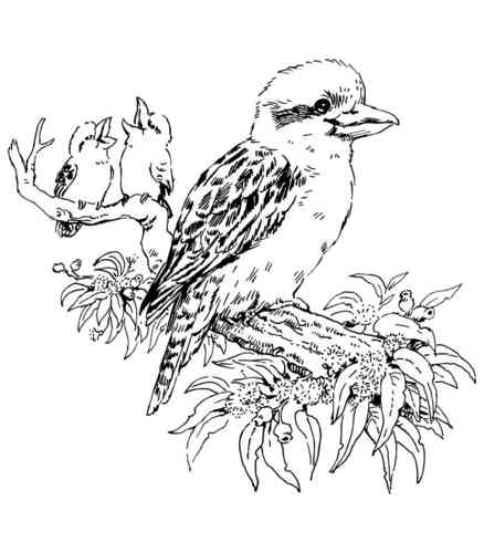 Z78D Kookaburra With Babies - Wood Mounted Stamp