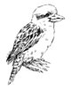 Z45C Kookaburra Small - Wood Mounted Stamp