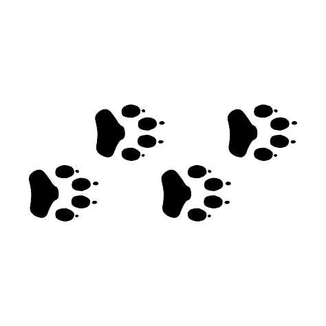 A24A Paw Prints - Wood Mount Stamp