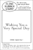 CW38A Special Day 1 - Cling Stamp